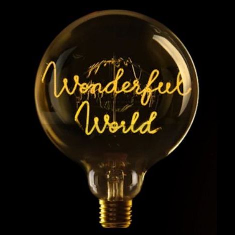 Message in the Bulb - Wonderful World - 2200K LED Light Bulb (6 Volt)