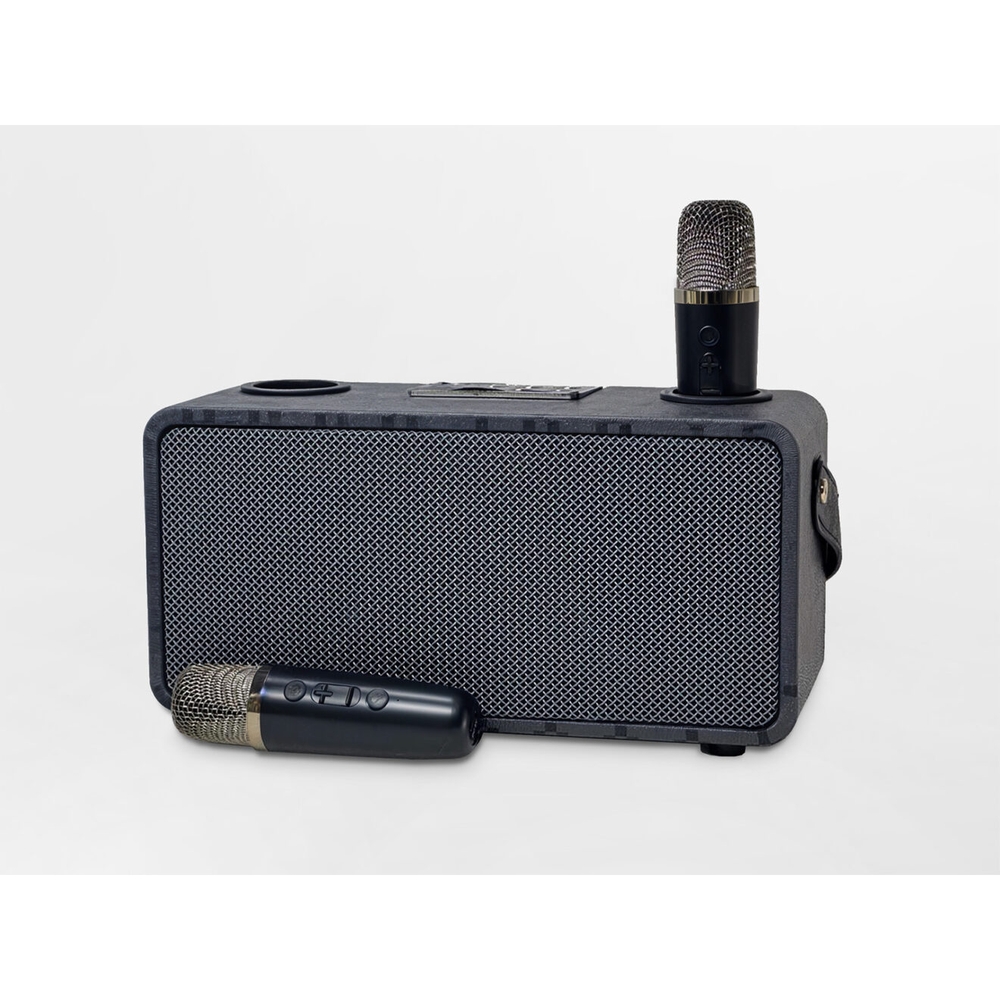Magic Star Pulz Mini Karaoke with 2 Wireless Microphones