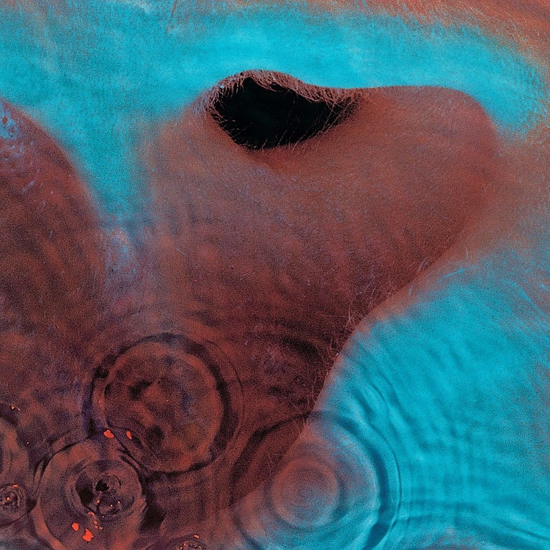 Meddle | Pink Floyd Meddle | Pink Floyd