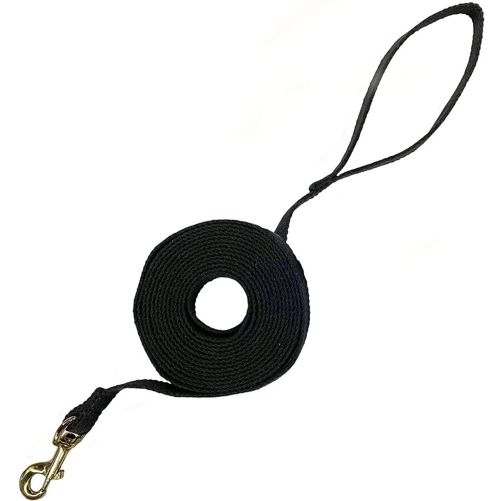 Four Paws Cotton Web Lead - Black