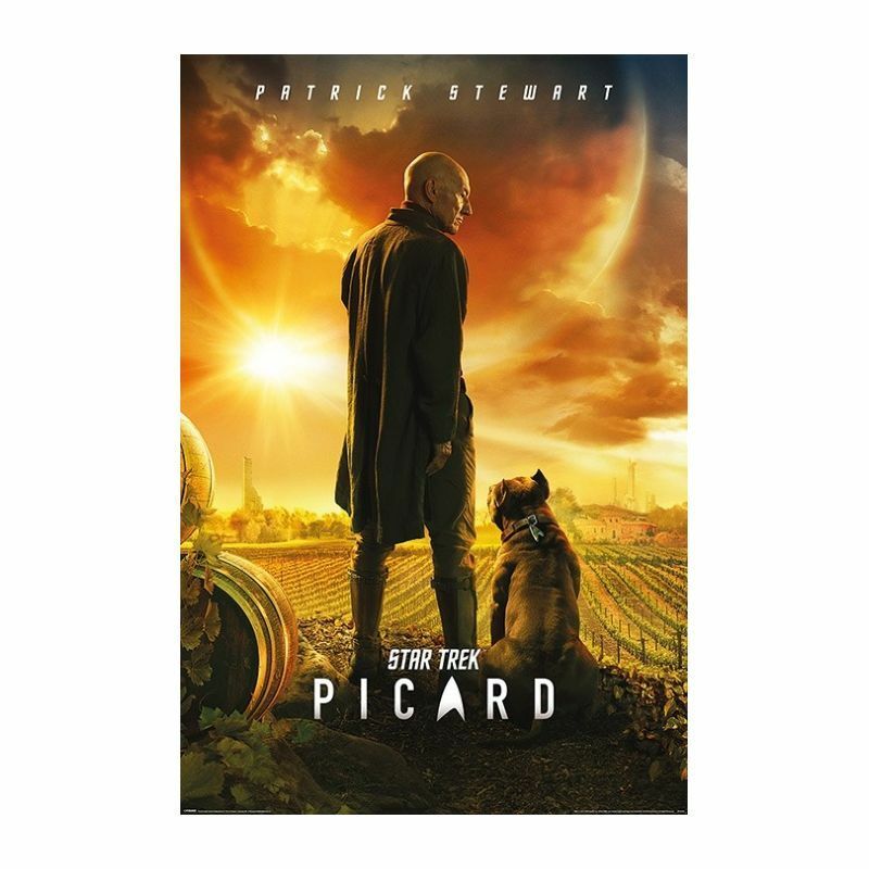 Pyramid Posters Star Trek Picard Picard Number One