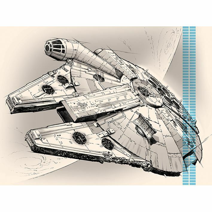 Pyramid Posters Star Wars Episode VII Millennium Falcon Pencil Art Canvass Print (60 x 80 cm)
