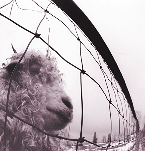 Vs. 180g Vinyl (Remastered) | Pearl Jam