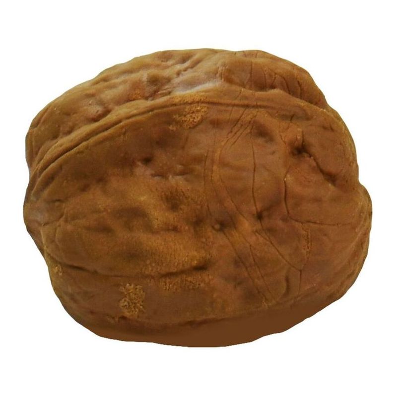Legami Walnut Eraser Legami Walnut Eraser