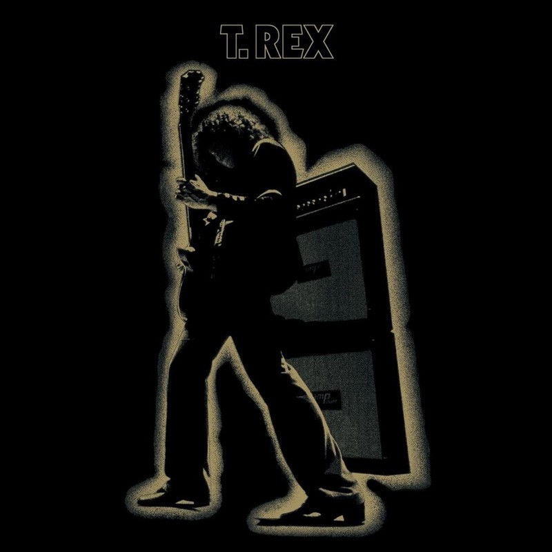 Electric Warrior | T-Rex