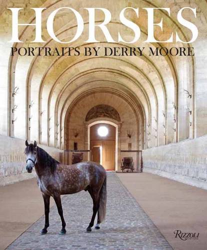 Horses Portraits by Derry Moore | Derry Moore