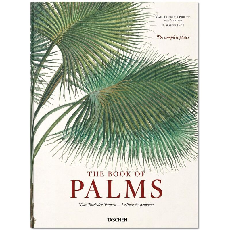 Martius. The Book of Palms | H. Walter Lack Martius. The Book of Palms | H. Walter Lack