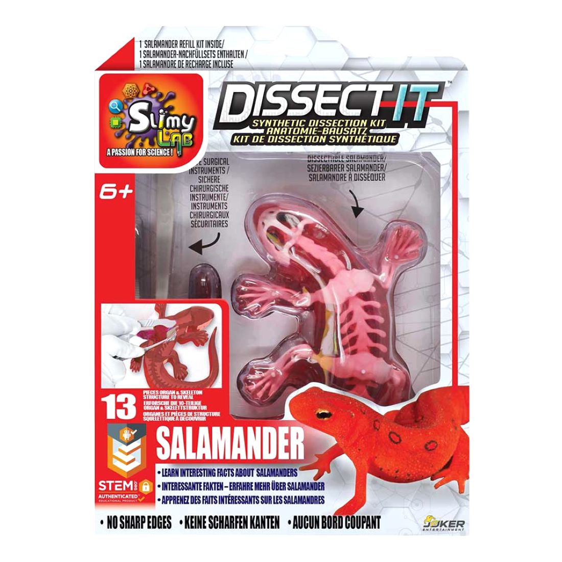 Slimy Lab Dissect It Lab Salamander Synthetic Dissection Kit