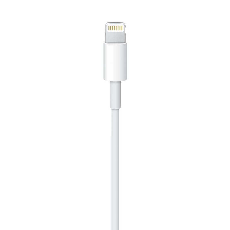 Apple Lightning to USB Cable 1M