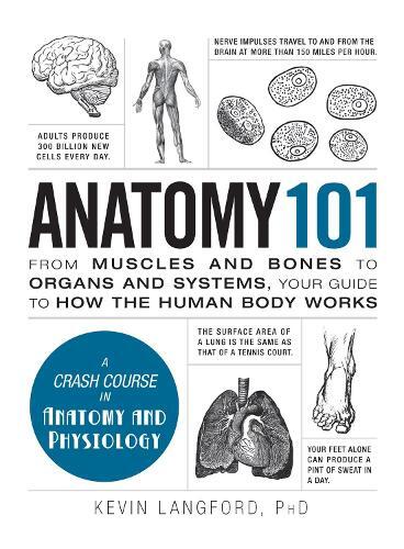 Anatomy 101 - From Muscles And Bones To Organs And Systems - Your Guide To How The Human Body Works | Kevin Langford