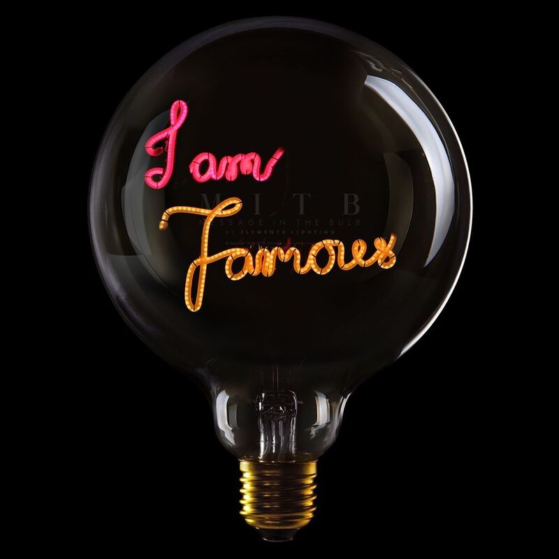 Message In The Bulb - 904101Rax I Am Famous LED Light Bulb (6 Volt) - Clear Glass - Red & Amber Light