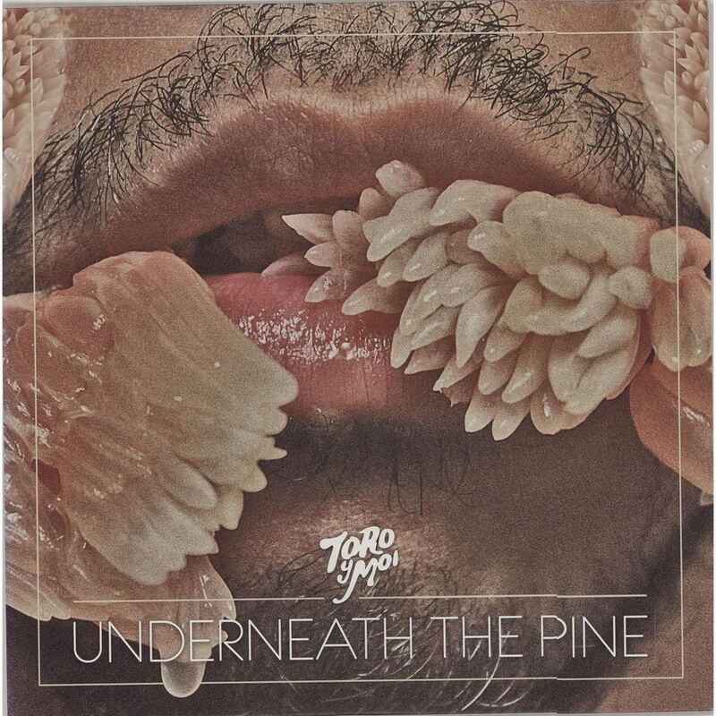 Underneath The Pine | Toro Y Moi