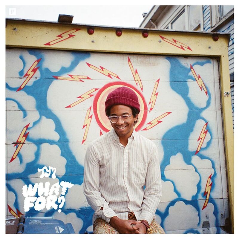 What For | Toro Y Moi