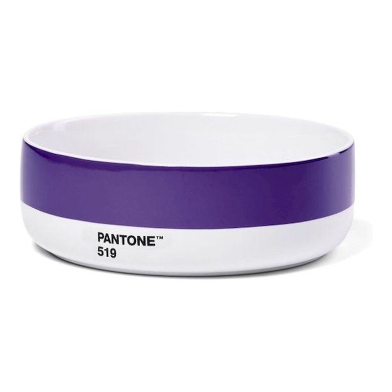 Pantone Bowl (50 x 146 mm) - Violet 519