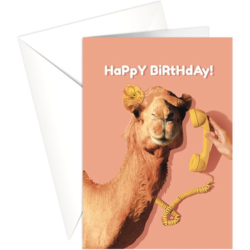 Share The Love Happy Birthday Camel Greeting Card (18 x 13 Cm)