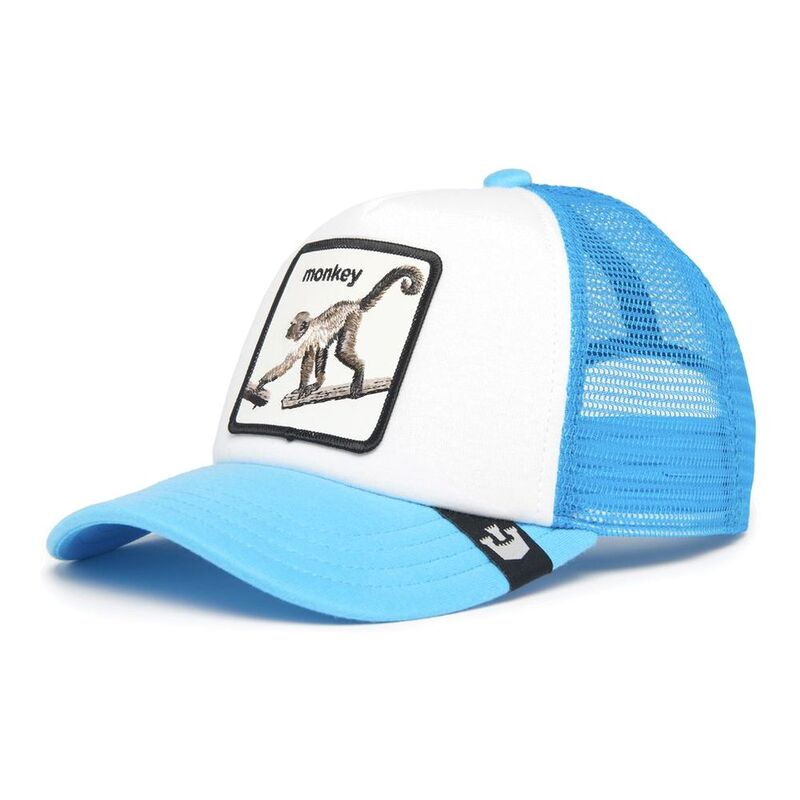 Goorin Bros Mo' Bizness Light Blue Cap