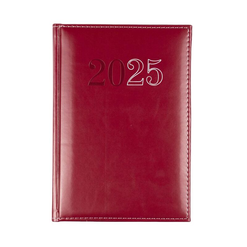 Collins Debden Chelsea 2025 Diary For Professionals - A5 Day To Page Business Planner (With Preimum Appointments) - Red