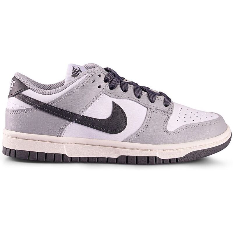 Nike Dunk Low Light Smoke Grey (Women's)