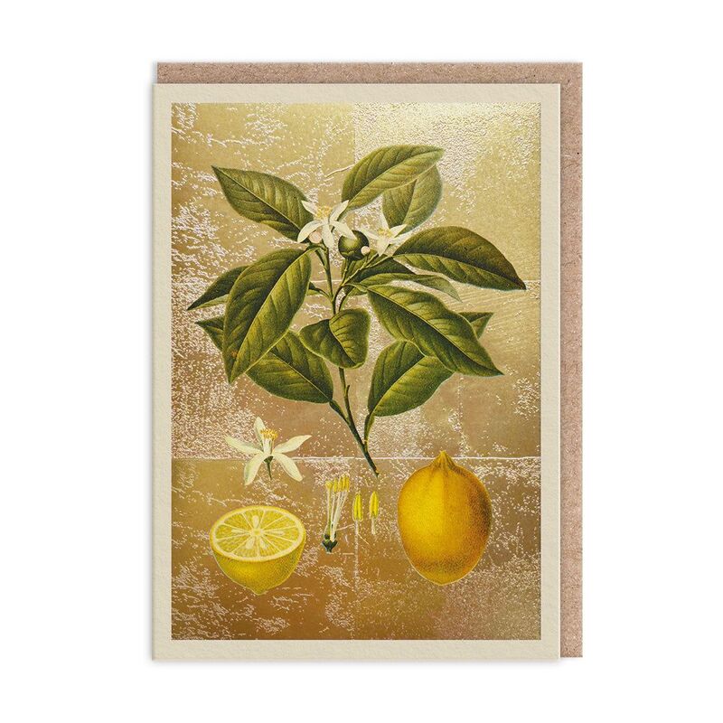 Ohh Deer Lemons Greeting Card (11986) Greeting Card (A6) Ohh Deer Lemons Greeting Card (11986) Greeting Card (A6)