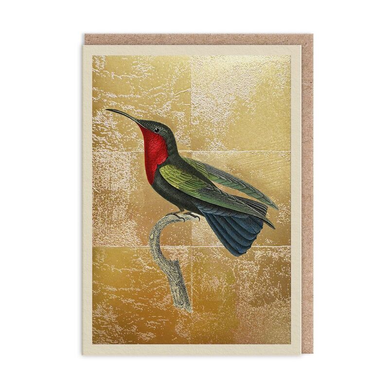 Ohh Deer Garnet Throated Hummingbird Greeting Card (11994) Greeting Card (A6) Ohh Deer Garnet Throated Hummingbird Greeting Card (11994) Greeting Card (A6)