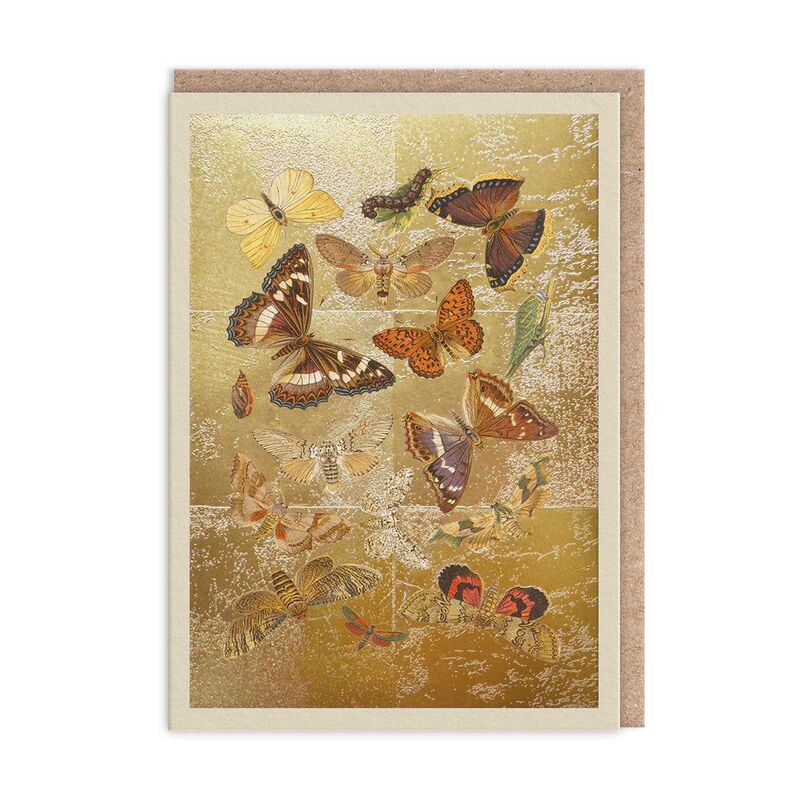 Ohh Deer Lepidoptera Greeting Card (12004) Greeting Card (A6)