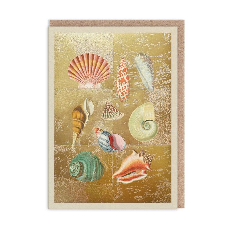 Ohh Deer Shell Collection Greeting Card (12006) Greeting Card (A6)