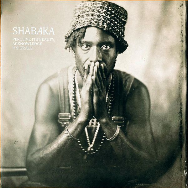 Perceive Its Beauty Acknowledge Its Grace | Shabaka Hutchings