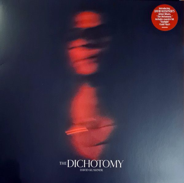The Dichotomy (2XLP) | David Kushner