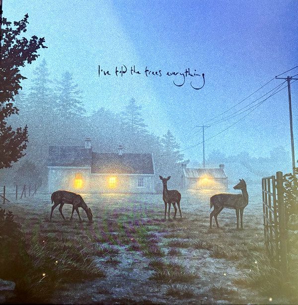 I've Told The Trees Everything (Vinyl - Retail (Black)) | Dermot Kennedy I've Told The Trees Everything (Vinyl - Retail (Black)) | Dermot Kennedy