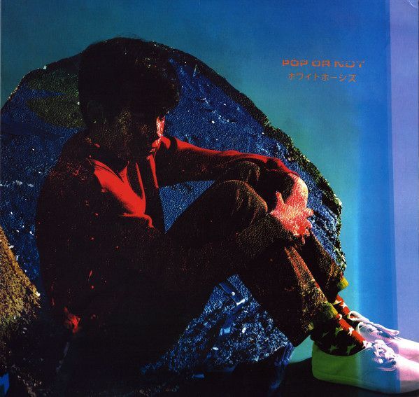 Pop Or Not | Whyte Horses