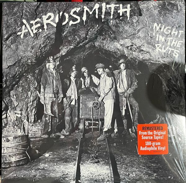 Night In The Ruts | Aerosmith