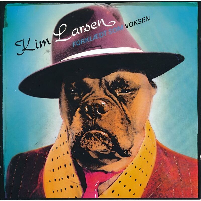 Forklædt Som Voksen | Kim Larsen Og Bellami