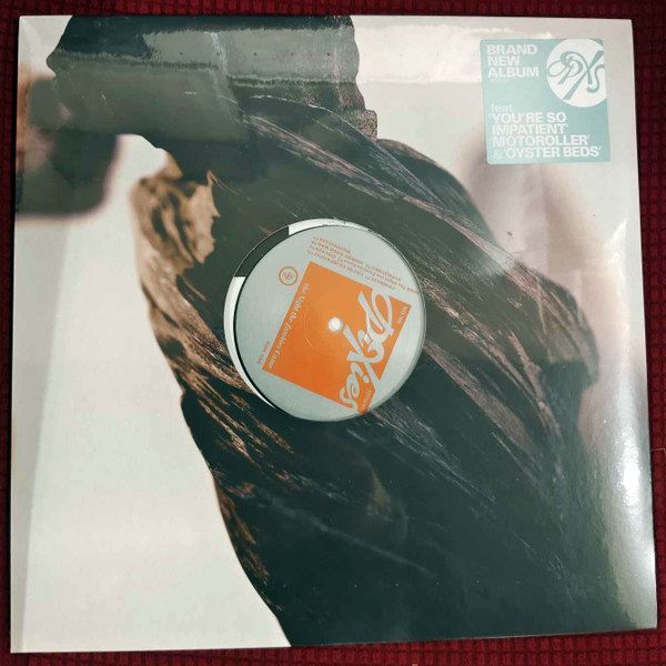 The Night The Zombies Came | Pixies The Night The Zombies Came | Pixies