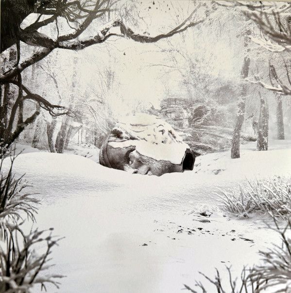 SZNZ: Winter | Weezer