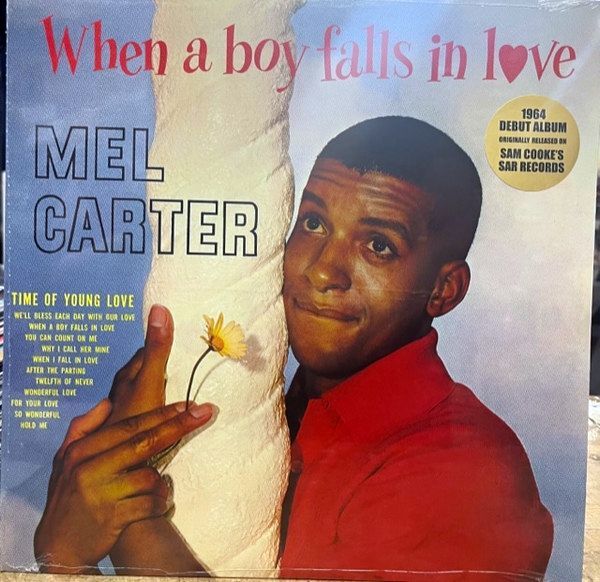 When A Boy Falls In Love | Mel Carter