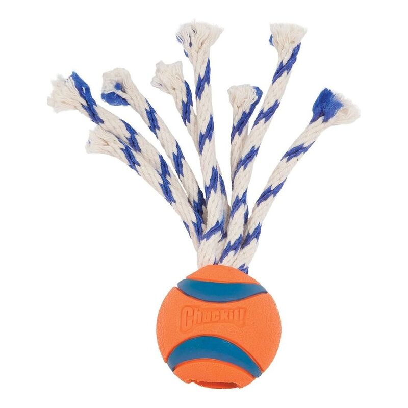 Chuckit! Dog Toy Ultra Toss Small