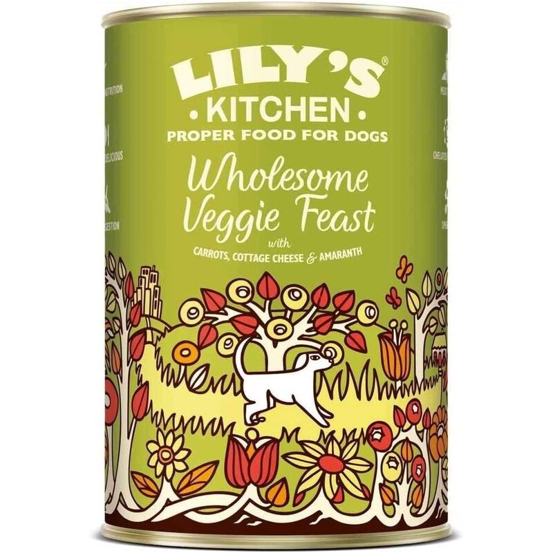 Lily's Kitchen Wholesome Veggie Feast Wet Dog Food (375G) Lily's Kitchen Wholesome Veggie Feast Wet Dog Food (375G)