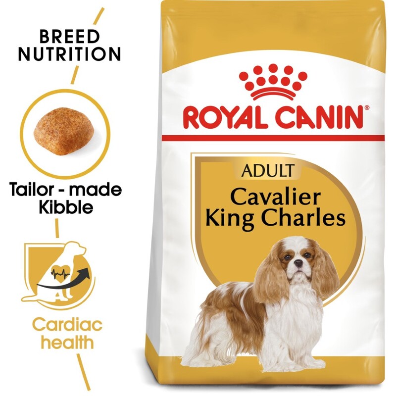 Royal Canin Breed Health Nutrition Cavalier King Charles Adult 1.5 Kg Royal Canin Breed Health Nutrition Cavalier King Charles Adult 1.5 Kg