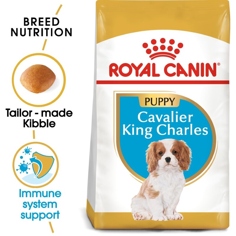 Royal Canin Breed Health Nutrition Cavalier King Charles Puppy 1.5 Kg Royal Canin Breed Health Nutrition Cavalier King Charles Puppy 1.5 Kg