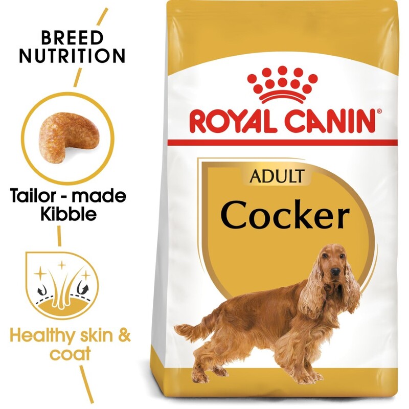 Royal Canin Breed Health Nutrition Cocker Adult 3 Kg Royal Canin Breed Health Nutrition Cocker Adult 3 Kg