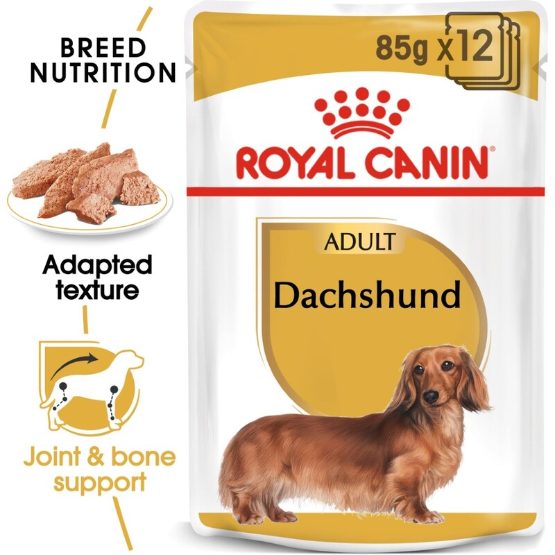 Royal Canin Breed Health Nutrition Dachshund Adult Wet Food Pouches (12 x 85g)