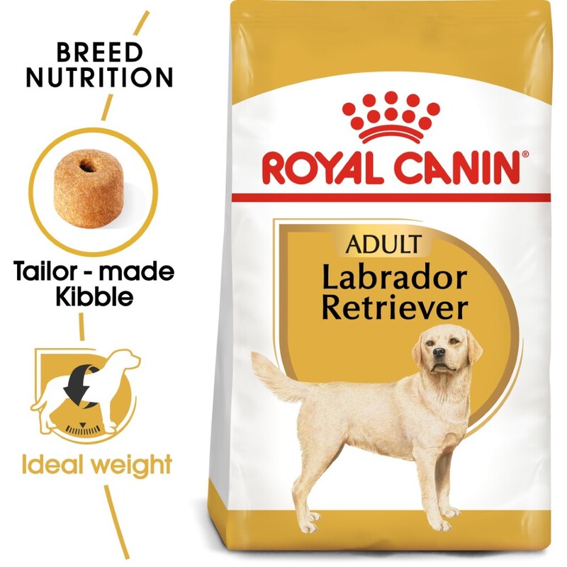 Royal Canin Breed Health Nutrition Labrador Adult 12 Kg Royal Canin Breed Health Nutrition Labrador Adult 12 Kg