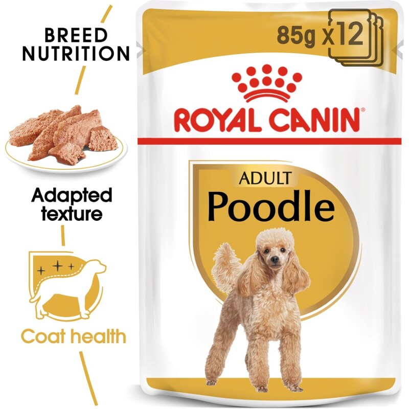 Royal Canin Breed Health Nutrition Poodle Adult Wet Food Pouches (12 x 85g)