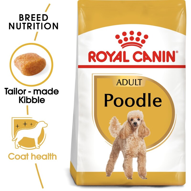 Royal Canin Breed Health Nutrition Poodle Adult 1.5 Kg Royal Canin Breed Health Nutrition Poodle Adult 1.5 Kg