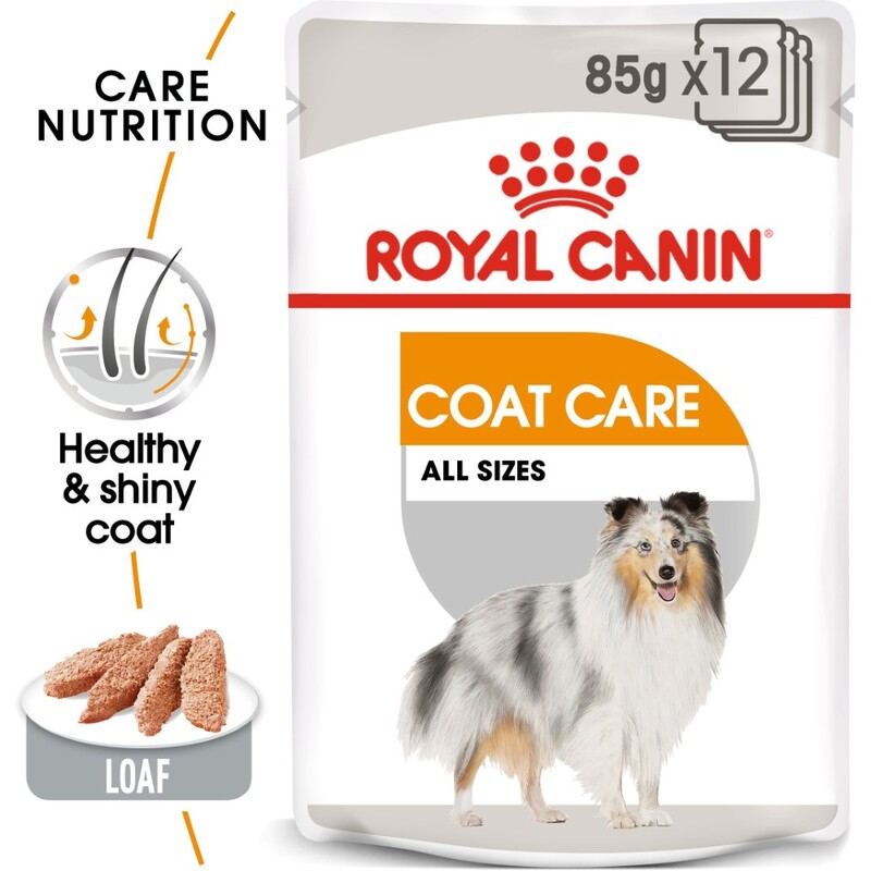 Royal Canin Canine Care Nutrition Coat Beauty Wet Food Pouches (12 x 85g) Royal Canin Canine Care Nutrition Coat Beauty Wet Food Pouches (12 x 85g)
