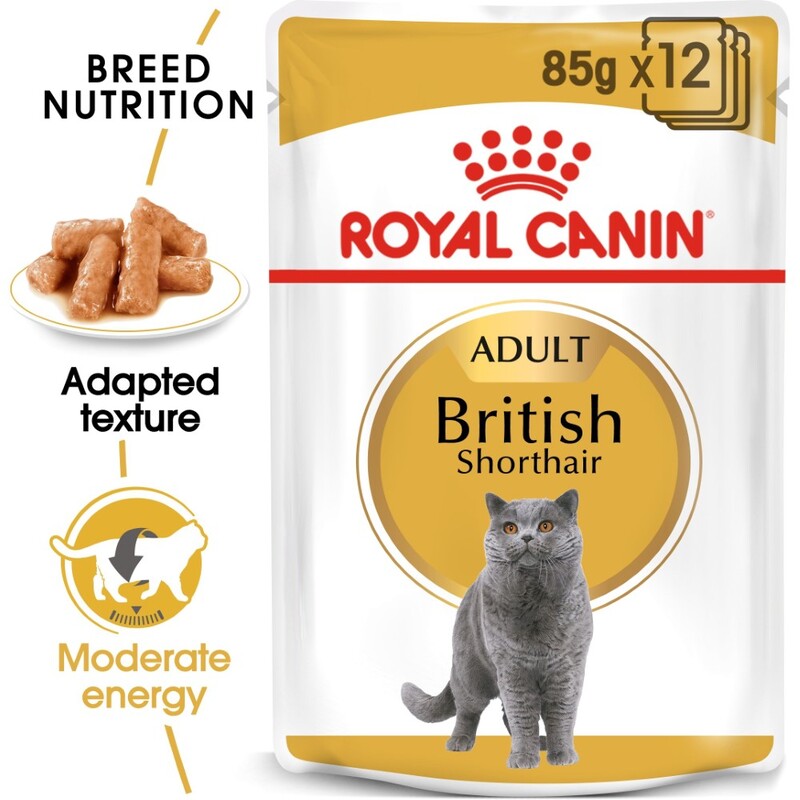 Royal Canin Feline Breed Nutrition British Shorthair Wet Food Pouches (12 x 85g)