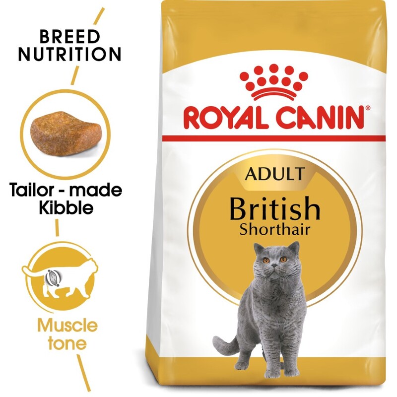 Royal Canin Feline Breed Nutrition British Shorthair Adult 4 Kg Royal Canin Feline Breed Nutrition British Shorthair Adult 4 Kg