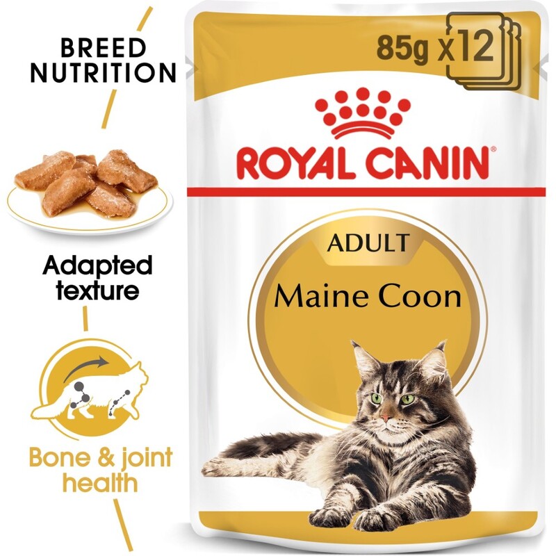 Royal Canin Feline Breed Nutrition Maine Coon Wet Food Pouches (12 x 85g)