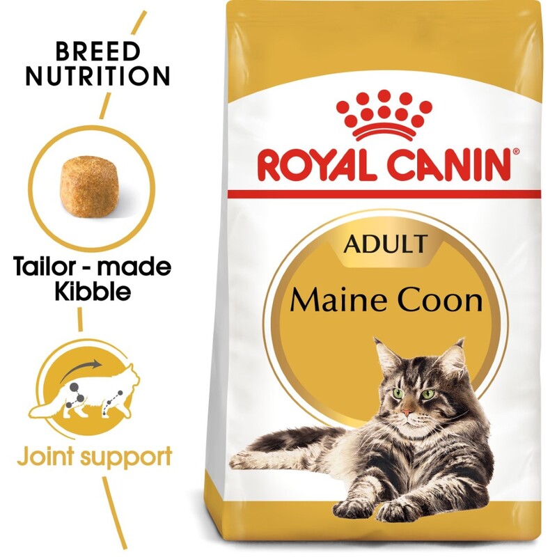 Royal Canin Feline Breed Nutrition Maine Coon Adult 2 Kg Royal Canin Feline Breed Nutrition Maine Coon Adult 2 Kg