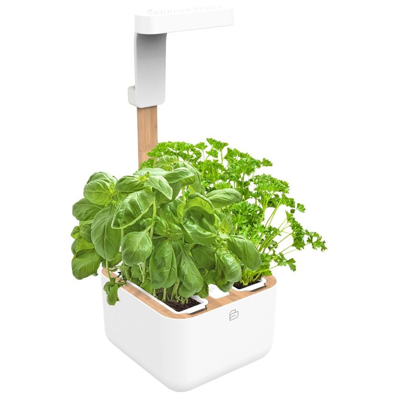 Veritable Botaneo® Indoor Garden White